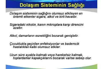 Dolaşım Sistemi Sağlığı